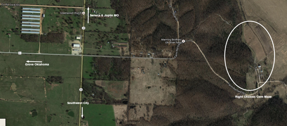 Right Choices Corn Maze Satellite View